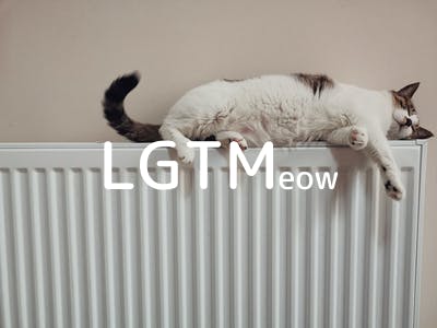 lgtm-cat-image