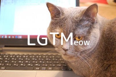 lgtm-cat-image