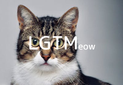 lgtm-cat-image