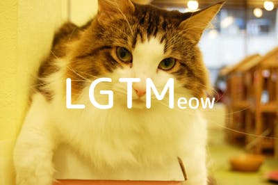 lgtm-cat-image